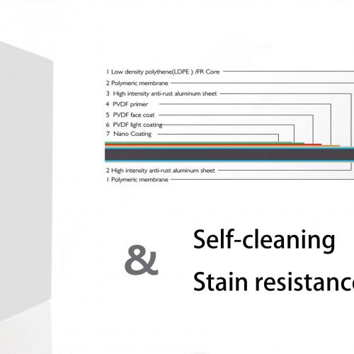 Nano PVDF